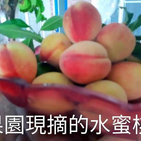 Taitung Linyuan B&B Donghe Εξωτερικό φωτογραφία