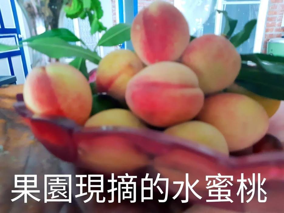 Taitung Linyuan B&B Donghe Εξωτερικό φωτογραφία