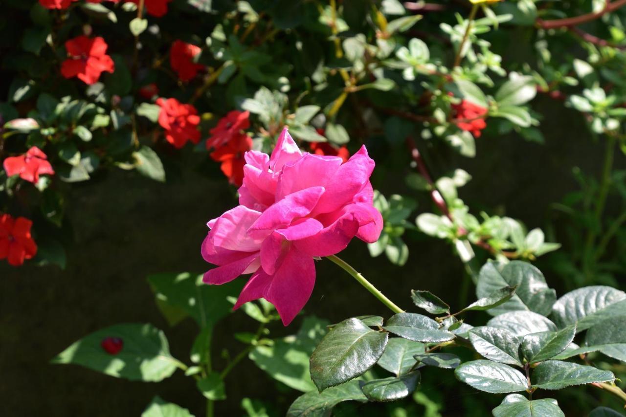 Taitung Linyuan B&B Donghe Εξωτερικό φωτογραφία